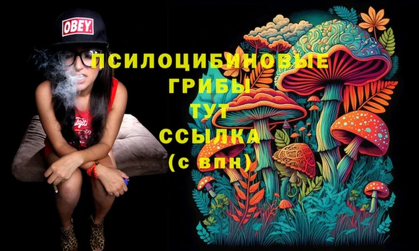 не бодяженный Абинск