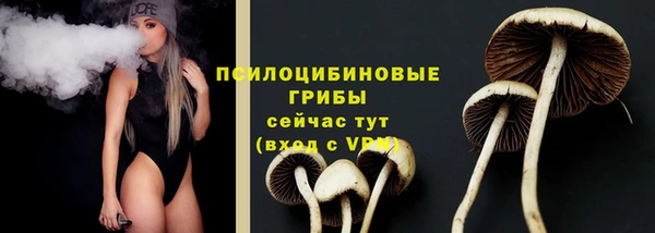 мяу мяу кристалл Нягань