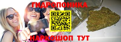 PSILOCYBIN Мариинск