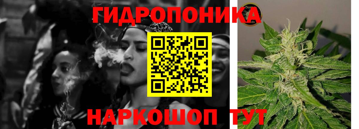Бошки марихуана Bruce Banner  Марихуана ГИДРОПОН  Тулун  Бошки марихуана сатива  Вход с VPN 